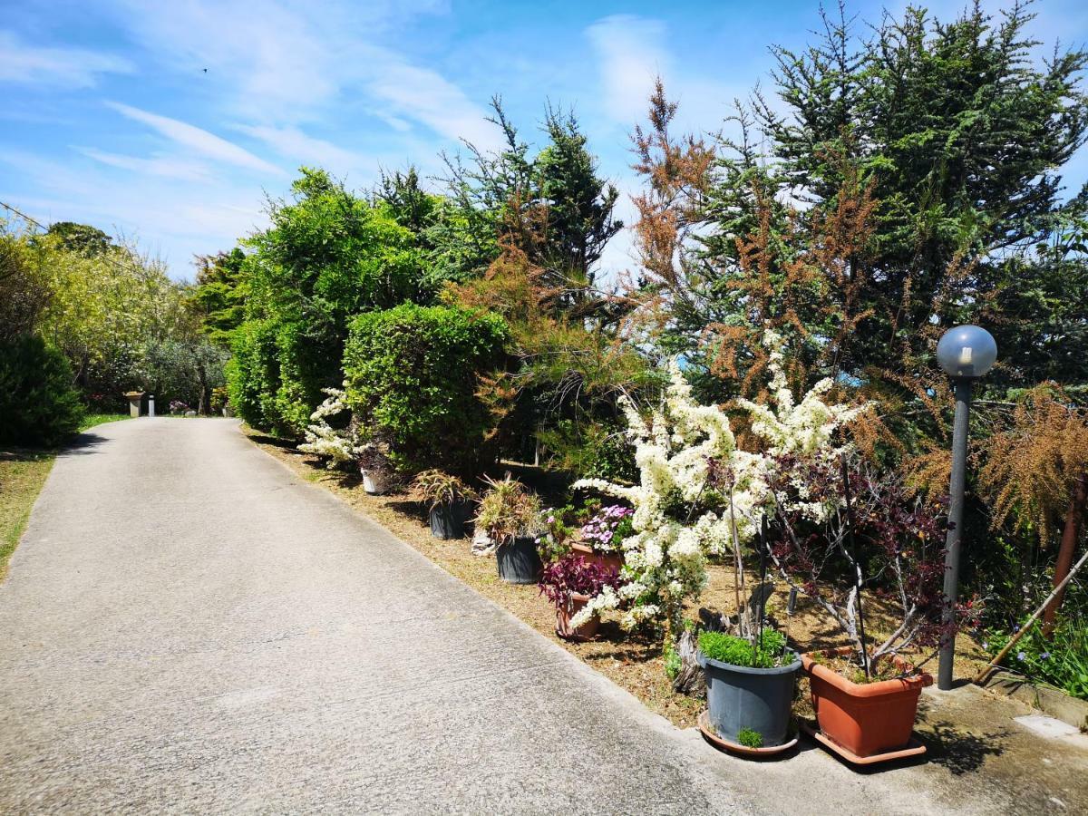 Vacanze Al Mare Appartamento In Villa Torino di Sangro Exterior foto